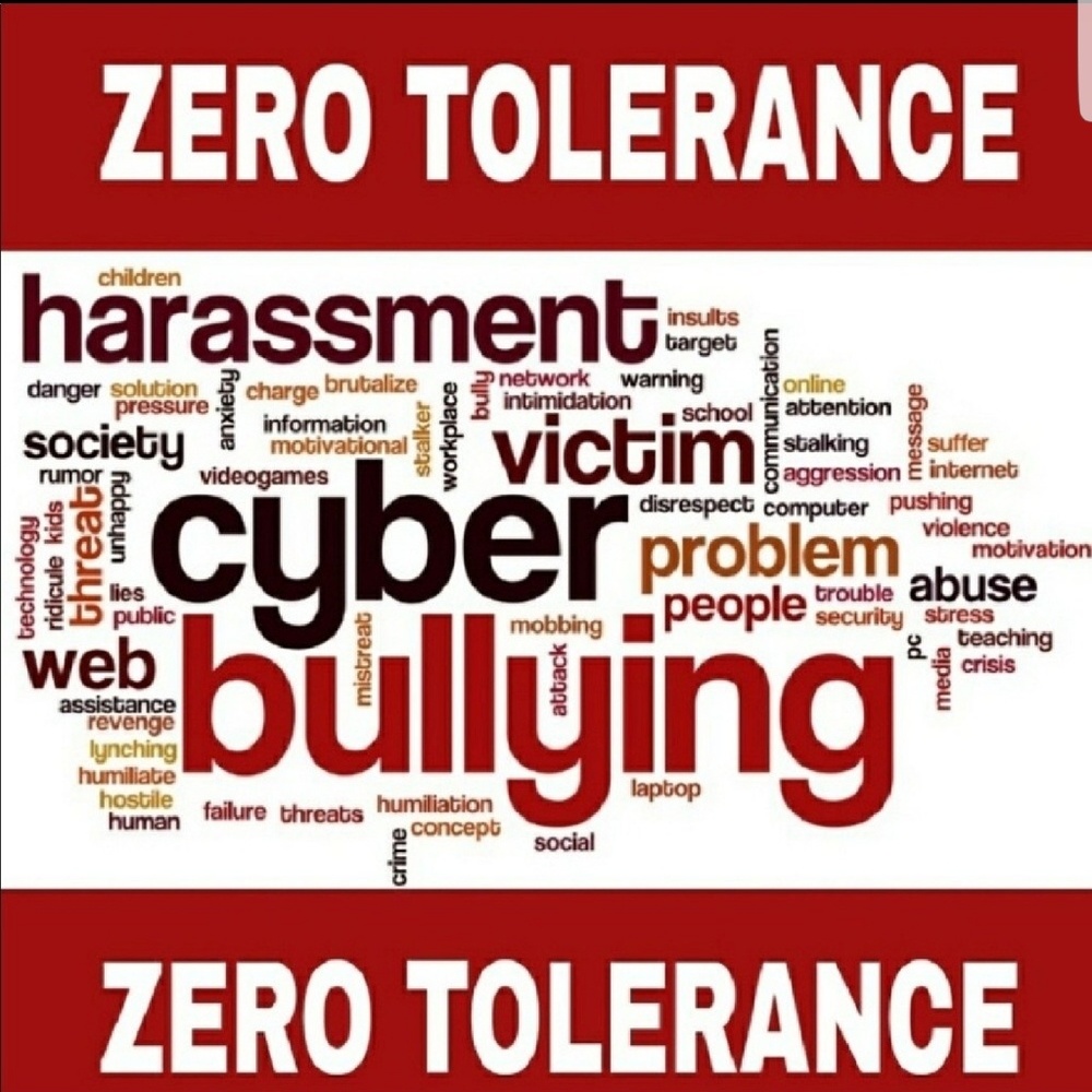 Stop cyber bullies!
